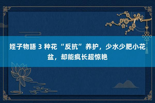 姪子物語 3 种花 “反抗” 养护，少水少肥小花盆，却能疯长超惊艳