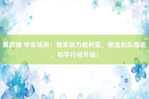 黑皮猪 中东场所：俄军助力叙利亚，输送机队抵达，和平行径升级！