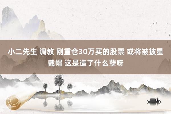 小二先生 调教 刚重仓30万买的股票 或将被披星戴帽 这是造了什么孽呀