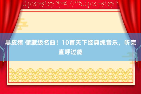 黑皮猪 储藏级名曲！10首天下经典纯音乐，听完直呼过瘾