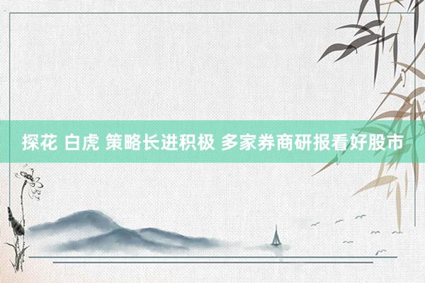 探花 白虎 策略长进积极 多家券商研报看好股市